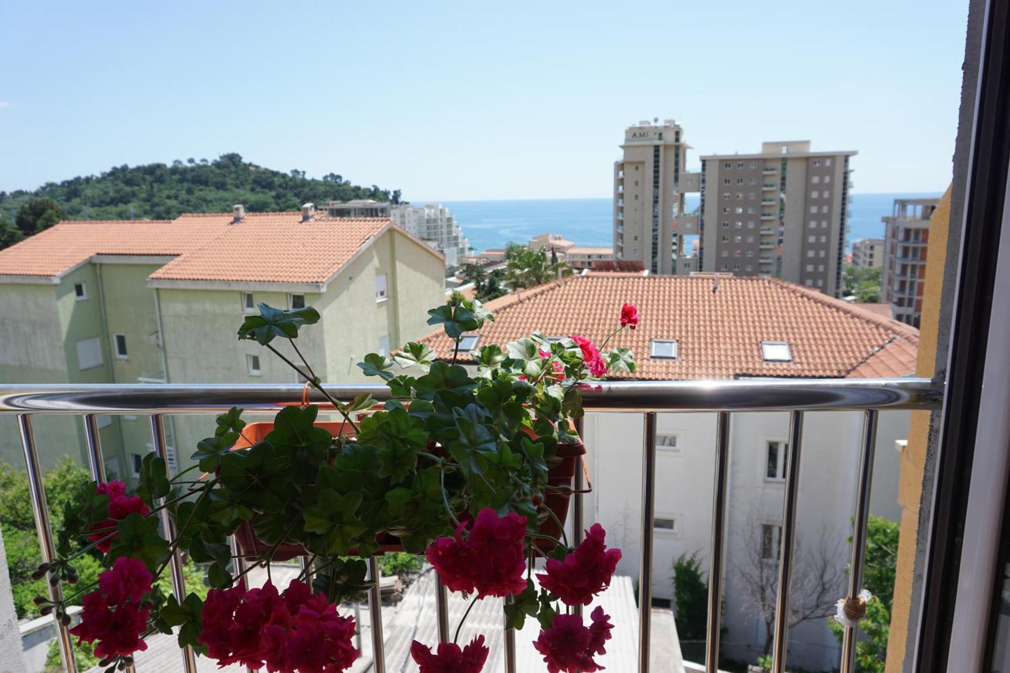 Vila Lena Petrovac Chambre photo